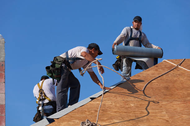 Best New Roof Installation  in Perezville, TX