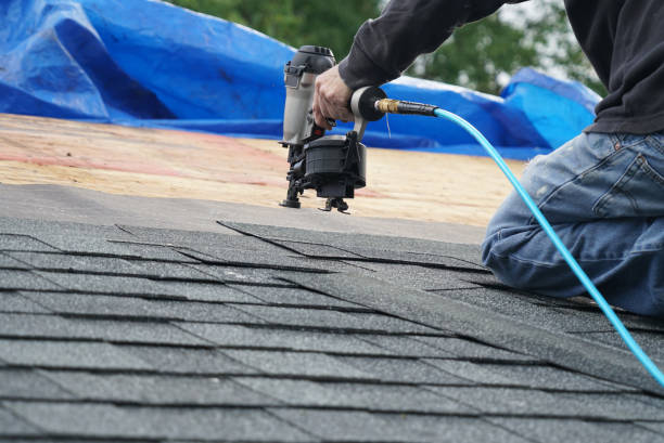 Best Roof Gutter Cleaning  in Perezville, TX
