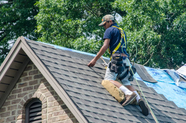 Best Shingle Roofing Installation  in Perezville, TX