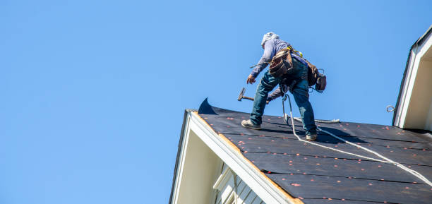 Best Roof Gutter Cleaning  in Perezville, TX